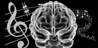 THANË PËR MUZIKËN !!