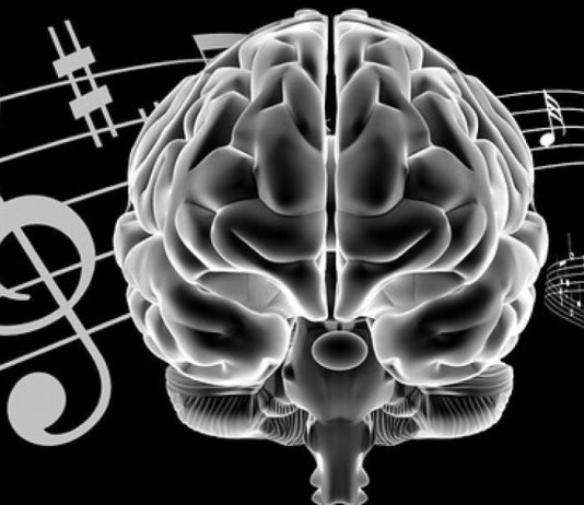 THANË PËR MUZIKËN !!