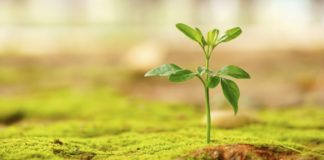 MOS I HUMB SHPRESAT NË ALLAHUN