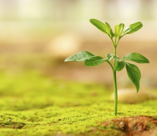 MOS I HUMB SHPRESAT NË ALLAHUN