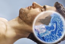 DISA URTËSI DHE INFORMATA NGA STUDIME TË NDRYSHME