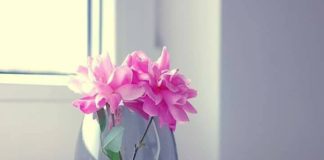 ZONJA E KUZHINËS NË RAMAZAN