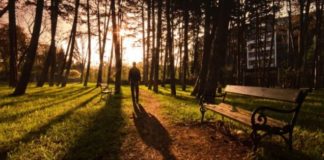 I HUMBUR ËSHTË AI QË E HARRON ALLAHUN