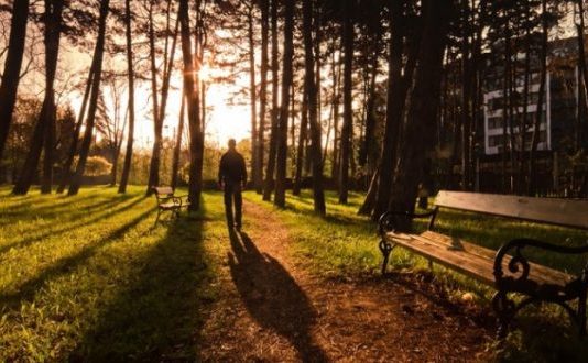 I HUMBUR ËSHTË AI QË E HARRON ALLAHUN