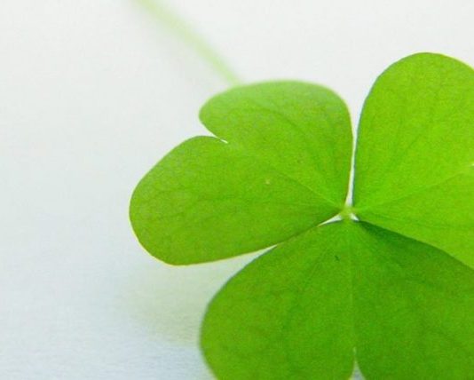 BARASPESHA E LUMTURISË SË VËRTETË!