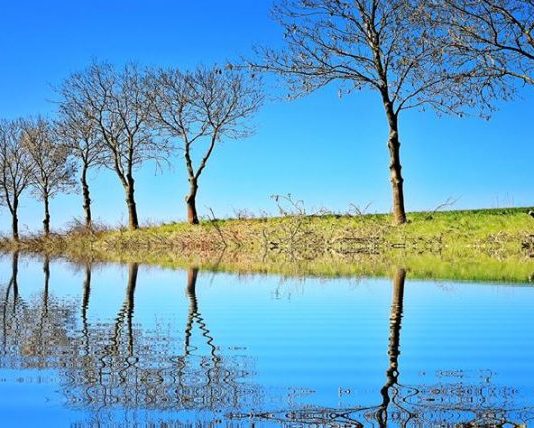 NJIHE PERSONALITETIN TËND NËPËRMJET KËTIJ TREGIMI!!