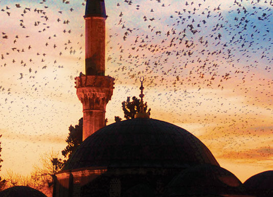 PRITJA E MUAJIT TË RAMAZANIT