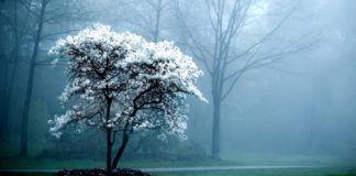 NËNA IME DHE PERIUDHAT E JETËS SIME!