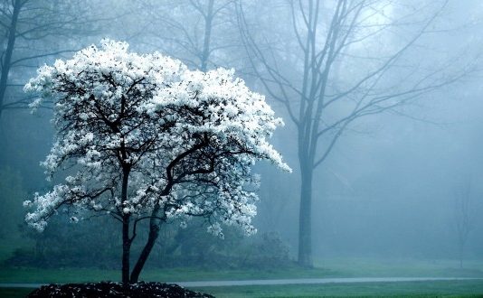 NËNA IME DHE PERIUDHAT E JETËS SIME!