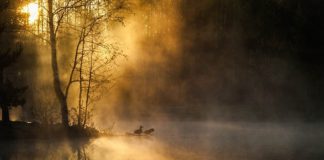 REALITETI YNË ËSHTË PËR MJERIM !