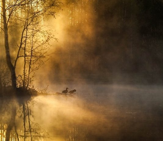 REALITETI YNË ËSHTË PËR MJERIM !