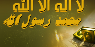 SHQIPTOI SHEHADETIN DUKE QENË E VDEKUR