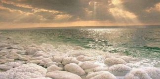 PSE KA VDEKUR “DETI I VDEKUR”?!