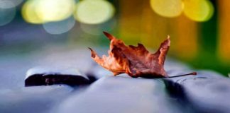 DYNJAJA ËSHTË TRI DITË