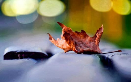 DYNJAJA ËSHTË TRI DITË