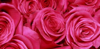 KUR NJË GRUA NDJEHET MREKULLUESHËM!!!