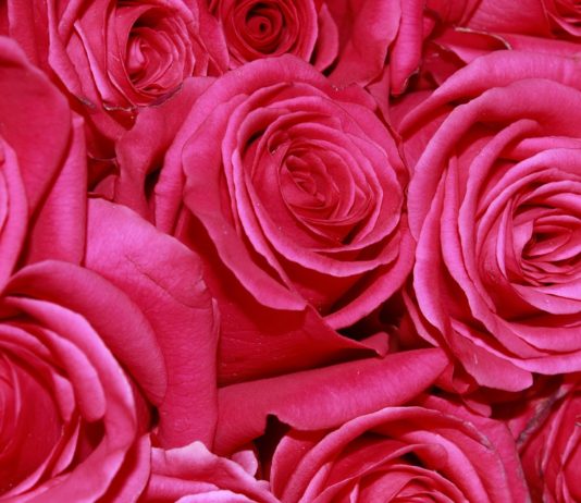 KUR NJË GRUA NDJEHET MREKULLUESHËM!!!