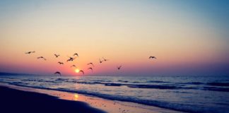 PËR NJË PËRDITSHMËRI MË TË LUMTUR!