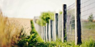 PËR KËTË ARSYE E KA MARRË EMRIN DYNJA!