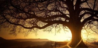 MOS HARRO SE TI JE SHËMBËLLTYRË PËR TJETRIN !