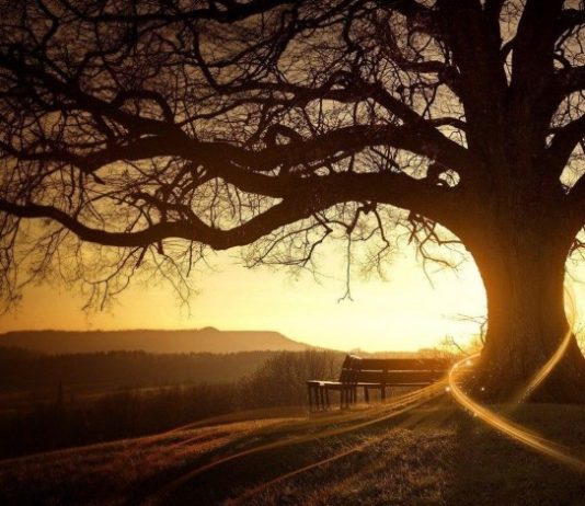 MOS HARRO SE TI JE SHËMBËLLTYRË PËR TJETRIN !