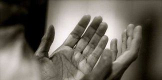 KOHA KUR PRANOHEN LUTJET