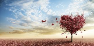 NËNËS I DIGJET SHPIRTI PËR TY!