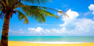 VERA MES PROVËS DHE SPROVËS