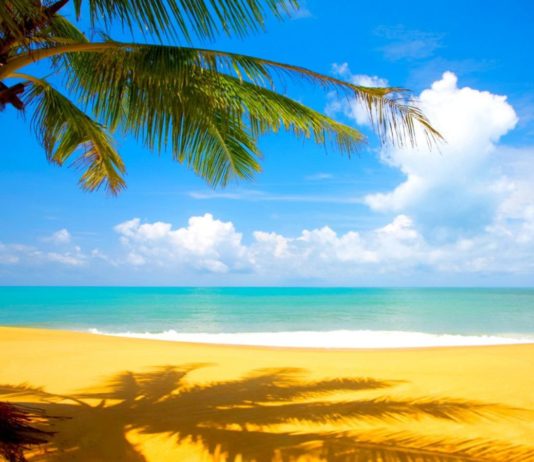 VERA MES PROVËS DHE SPROVËS