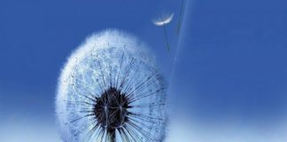 SA I BUKUR QË ËSHTË MENDIMI I MIRË PËR ALLAHUN