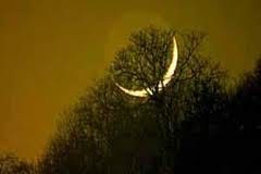 VLERA E DHJETË DITËVE TË PARA TË DHUL HIXHES