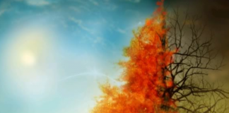 SJELLJA ËSHTË MORAL PARA SE TË JETË NDJENJË !