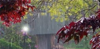 MOS U DËSHPËRO NGA SJELLJET E NJERËZVE