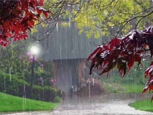 MOS U DËSHPËRO NGA SJELLJET E NJERËZVE