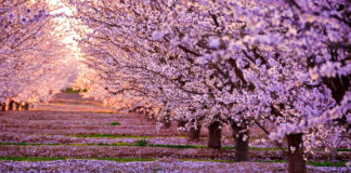 KATËR STINËT E VITIT !