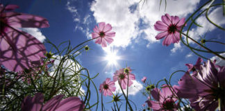 REALITETI I LUMTURISË DHE BURIMI I SAJ