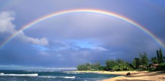 NJERIUN E DALLON MORALI E JO BUKURIA