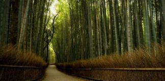 ILAÇI MË I MIRË PËR QETËSIMIN E DHEMBJEVE