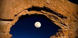 ÇDO GJË KA BUKURI !