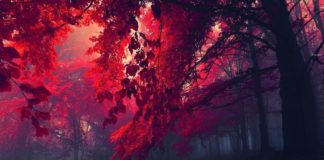 SHPIRTI IM TË LUTEM PËR HIR TË ALLAHUT TË MË SHPËTOSH