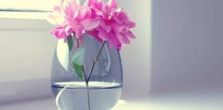 BART ME VETE DIÇKA NGA MIRËSIA