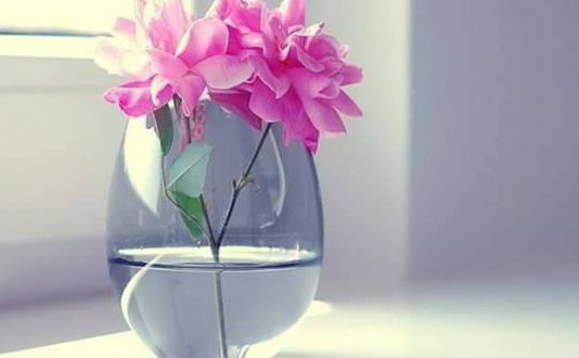 BART ME VETE DIÇKA NGA MIRËSIA