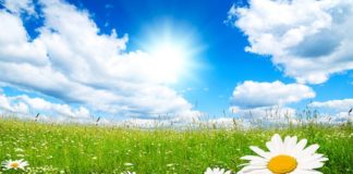 KATËR GJËRA ZGJIDHEN ME KATËR TË TJERA