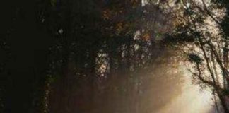 I ÇMENDUR ËSHTË AI QË MENDON SE NJERËZIT NUK FLASIN PËR TË