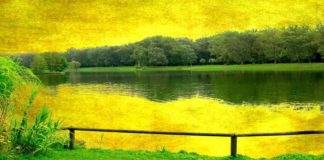 SHFRYTËZOI TË GJITHA KOHËRAT