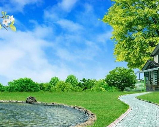 MERR MËSIME NGA AJO QË E SHEH