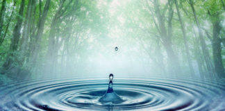 VEPRAT QË SHLYEJNË MËKATET