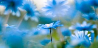 BËHU GJËJA E VETME QË NUK PËRSËRITET DY HERË