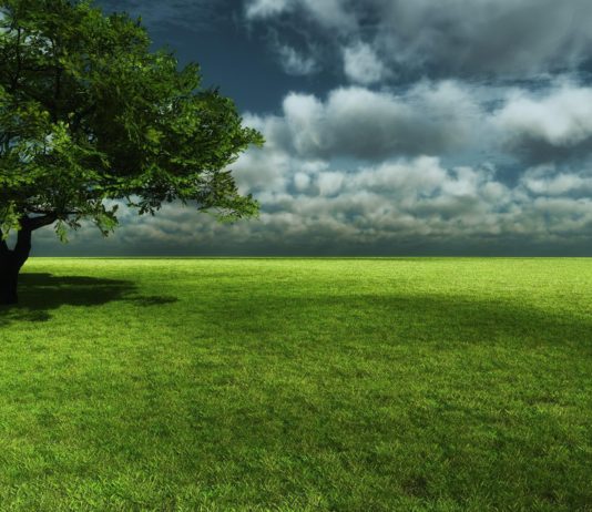 EDHE UNË KAM NEVOJË ASHTU SI TI QË KE