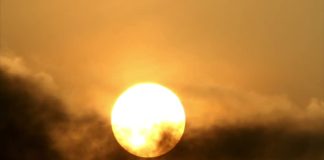 TË RRALLË POR EKZISTOJNË !